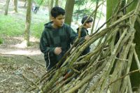 Waldtag1a-2024-22
